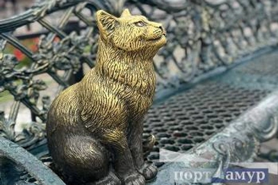 В Приамурье 28 августа будет тепло и без дождей