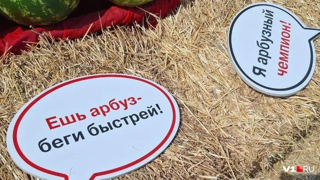 Слоганы фестиваля подчеркивали взаимосвязь арбуза и спорта | Источник: Тимофей Крылов / V1.RU