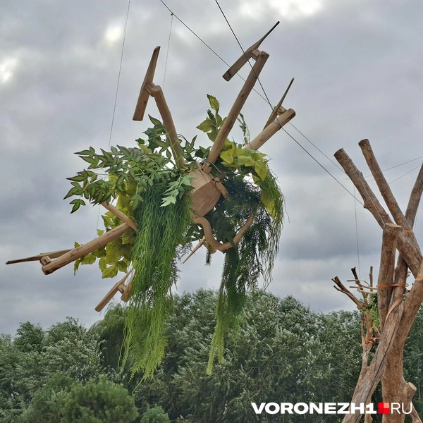 Источник: Алёна Воропаева / Voronezh1.ru