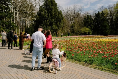 Синоптики обещают до +21 °C: когда в Краснодаре потеплеет