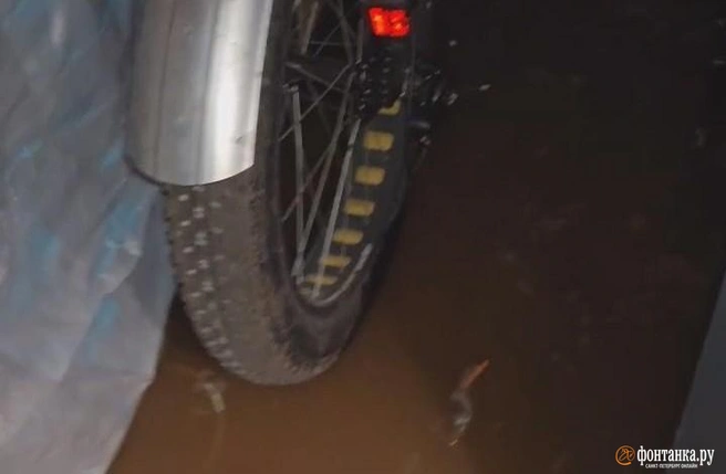 Около суток без воды и залитые подвалы. «Водоканал» рассказал, что случилось в Парголово | Источник: читательница «Фонтанки»