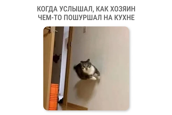 А вдруг съедобное? | Источник: Мария Романова / Городские медиа