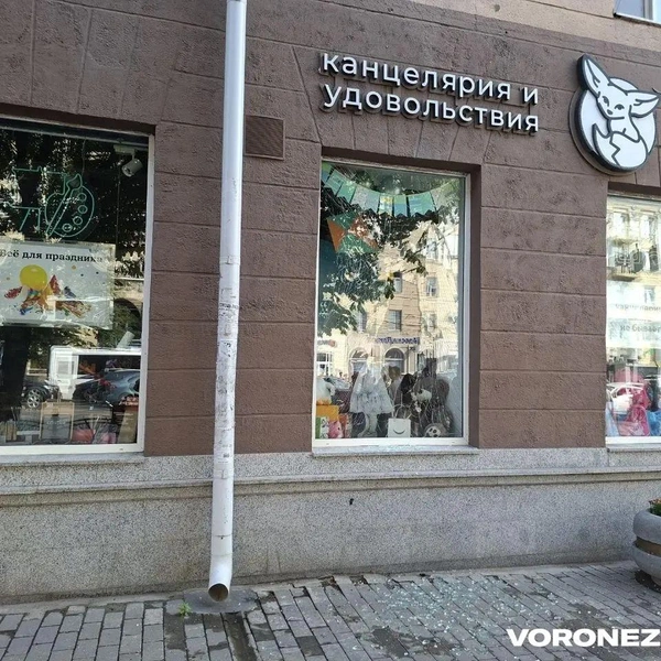 Источник: Алена Воропаева / Voronezh1
