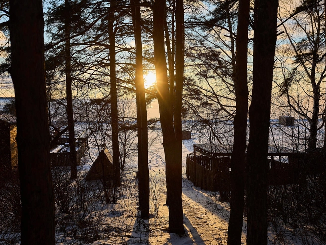 Источник: Александр Ощепков / NGS.RU