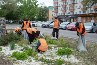 В Приамурье летом трудоустроят 1300 подростков