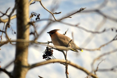 В Забайкалье на выходных похолодает до -18