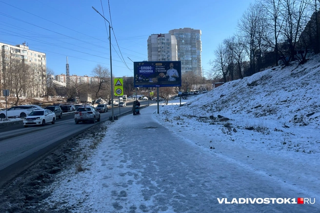 Источник: Елена Буйвол / VLADIVOSTOK1.RU