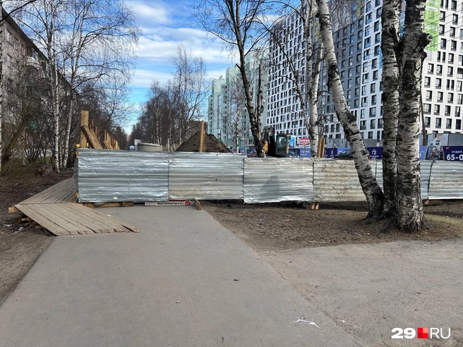 Источник: Кристина Полевая