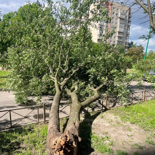 Источник: Мегаполис | ДТП и ЧП | Санкт-Петербург | Питер