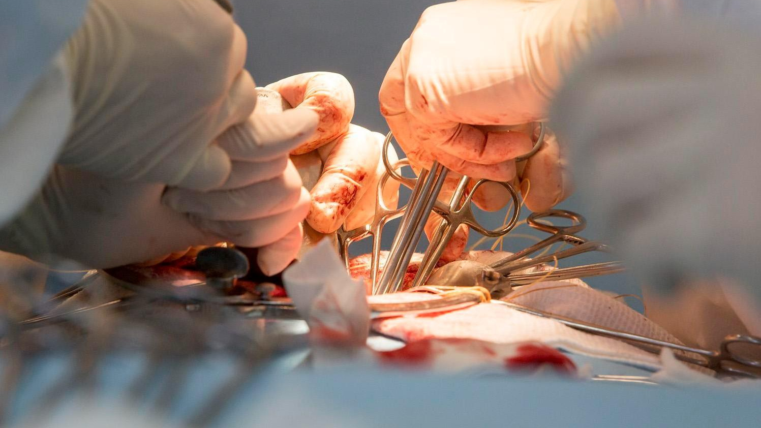 Американка умерла на пару минут — и мистический опыт изменил ее жизнь. Новости 29 сентября