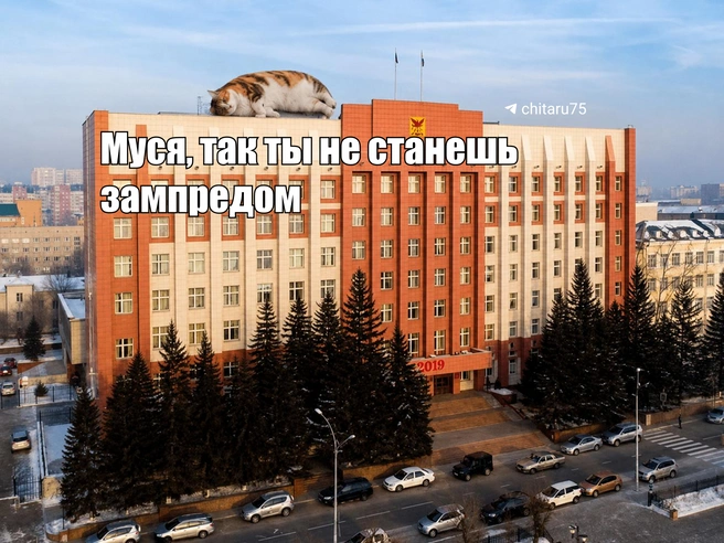 Источник: Вячеслав Палкин