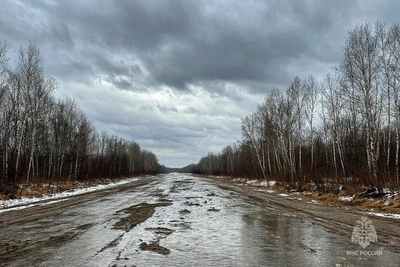 В Приамурье прогнозируются снегопады и усиление ветра