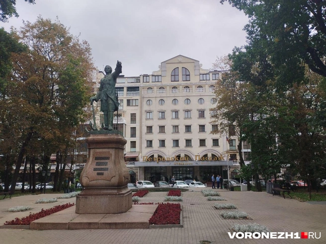 Источник: Дмитрий Волгин / Voronezh1.ru