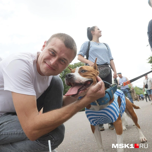Источник: Дмитрий Толстошеев / MSK1.RU