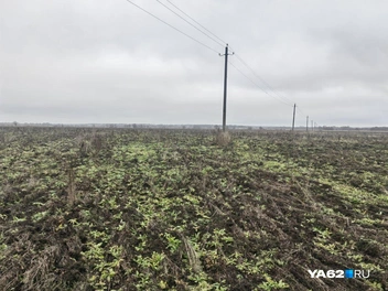 А вот и ЛЭП со схемы размещения воронки | Источник: Кристина Мельникова / YA62.RU