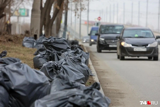 Главное, чтобы мешки не залежались | Источник: Наталья Лапцевич