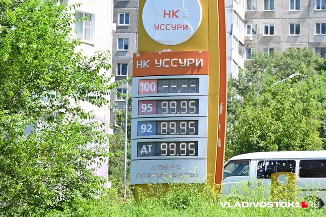 Источник: Елена Буйвол / VLADIVOSTOK1.RU