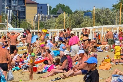Дельфины подплыли к туристам в Анапе