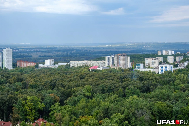 Очень много зелени | Источник: Булат Салихов / UFA1.RU