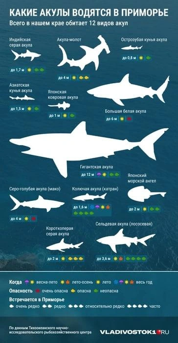 Источник: VLADIVOSTOK1.RU