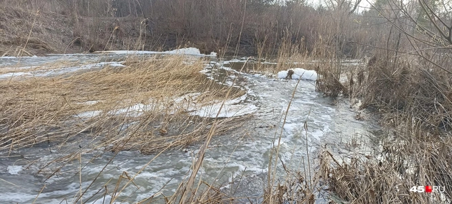 Там, куда утекает вода после водопада, нерестится щука | Источник: Анна Сарапульцева / 45.RU