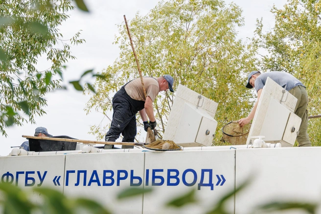 Всю партию рыбы доставили из соседней Свердловской области | Источник: Валерий Звонарев