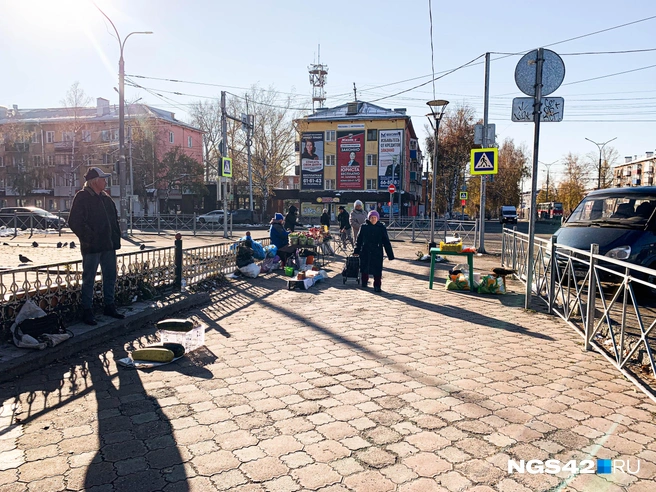 Источник: Татьяна Ирискина / NGS42.RU