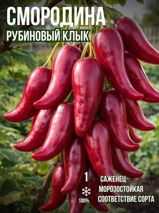  Больше на перец похожа, чем на смородину | Источник: Wildberries.ru