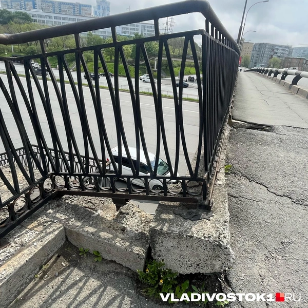 Источник: Елена Буйвол / VLADIVOSTOK1.RU
