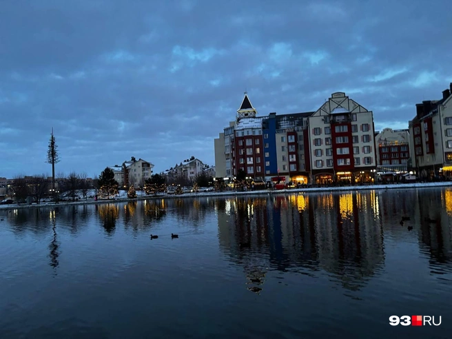 В этом году птиц было меньше | Источник: Алина Лустина / 93.RU