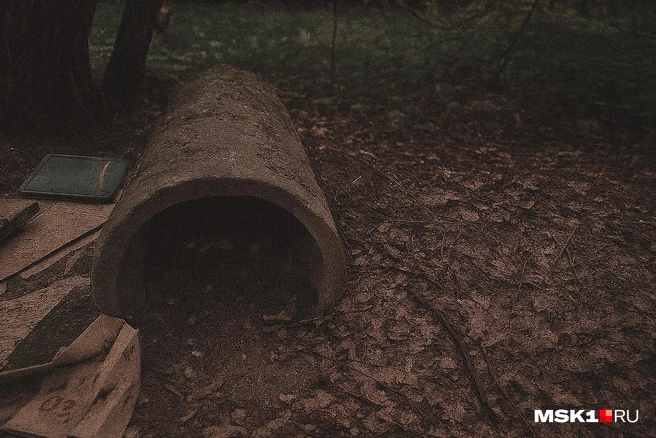 Источник: Вера Борисова, Серафима Пантыкина / MSK1.RU