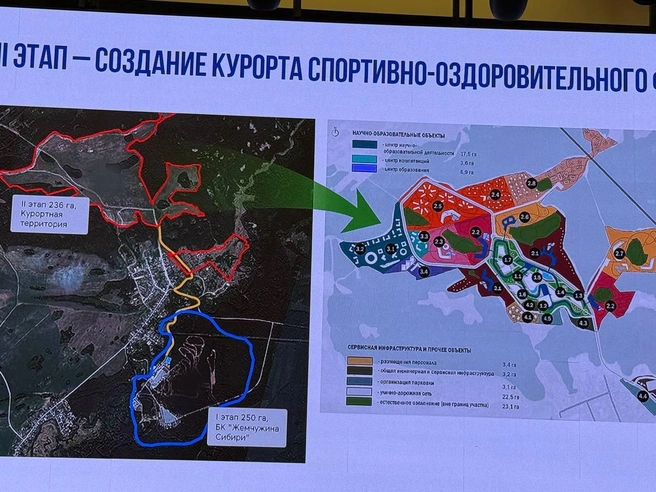 Общая площадь проекта оценивается в 236 гектаров. | Источник: Екатерина Бурлева / 72.RU