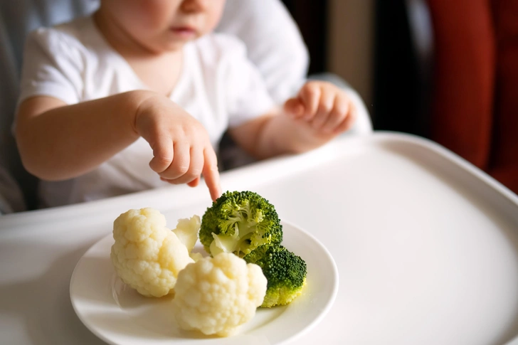 Источник: Shutterstock/Fotodom.ru