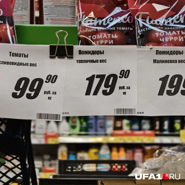 Источник: Булат Салихов / UFA1.RU