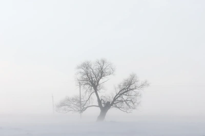Глобальное потепление усилит суровость климата в Новосибирской области