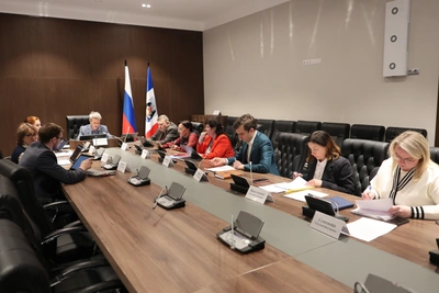 Новгородские депутаты обсуждают повестку комитетов