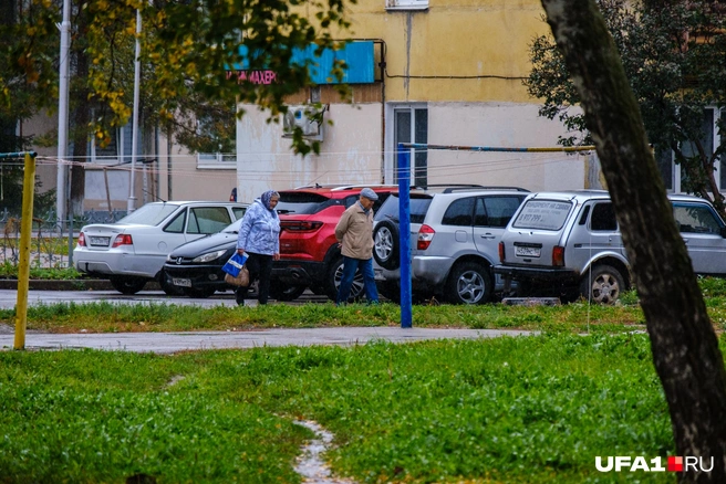 Пробираются не спеша вдоль машин | Источник: Булат Салихов / UFA1.RU