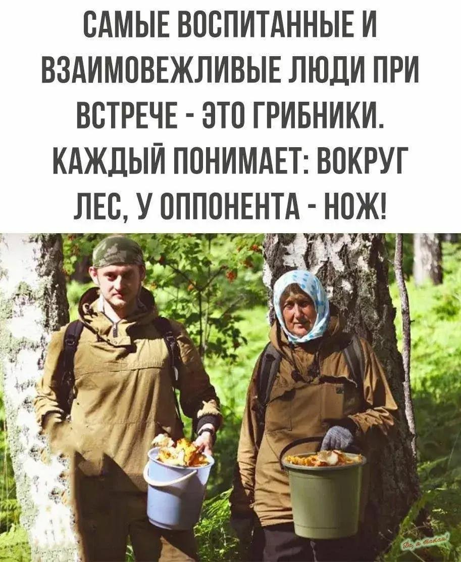 Мыслите как груздь: 10 забавных мемов про грибы для любителей «тихой охоты»