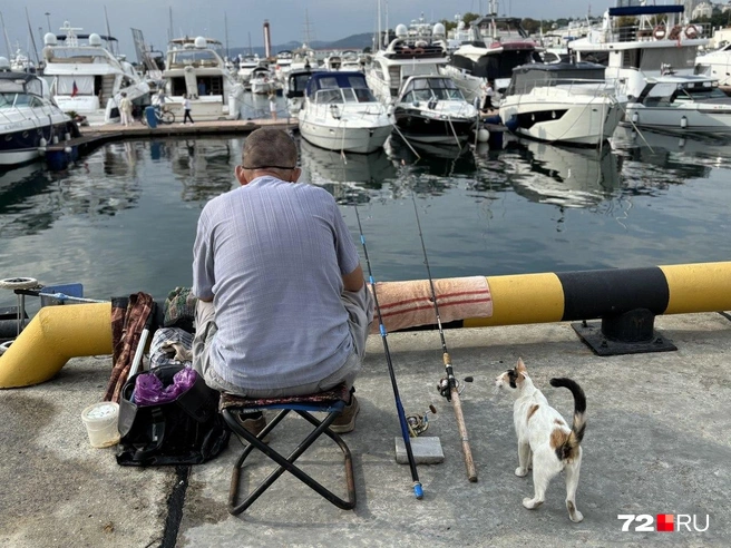 Многие в Сочи занимаются рыбалкой в качестве пропитания или простого хобби  | Источник: Мария Токмакова / 72.RU
