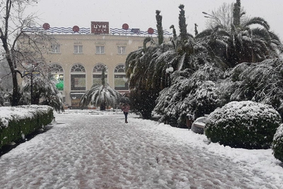 Сочи может встретить Новый год со снегом
