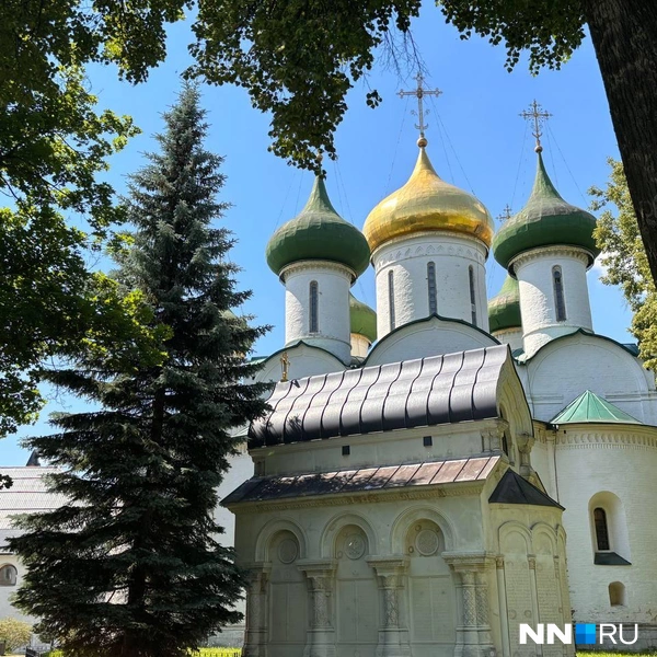 Некрополь князей Пожарских и Хованских | Источник: Александра Ефремова / NN.RU