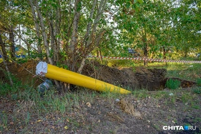 Prosecution demands six years in colony for Chita gasification fraudster