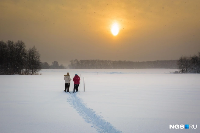 Раз в 10 дней агрометеорологи выходят буквально в чистое поле. В этом году из-за обилия снегопадов и температурных качелей перспективы Галину Исхакову тревожат: высота снега уже 60 сантиметров, а слишком толстый покров в течение двух месяцев для растений опасен&nbsp;— корни может поразить грибок | Источник: Александр Ощепков / NGS.RU