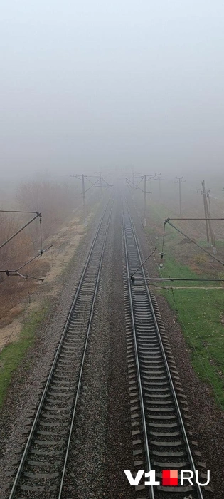 Дорога уходит словно в никуда  | Источник: читатель V1.RU