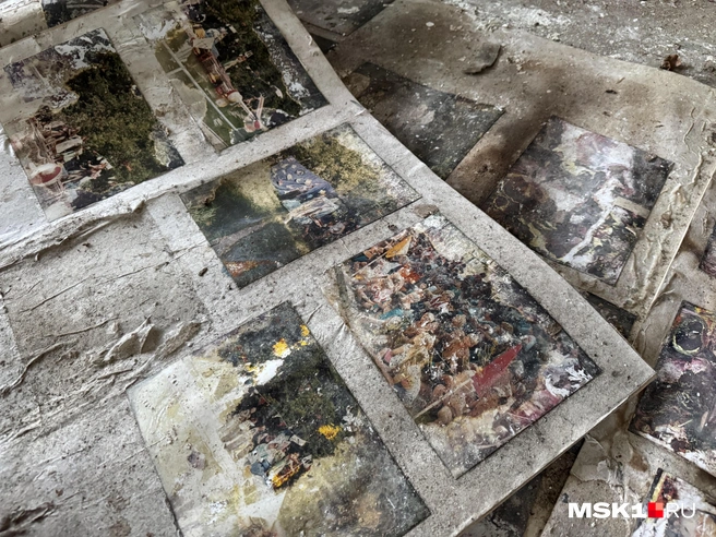 Источник: Алина Мельникова / MSK1.RU