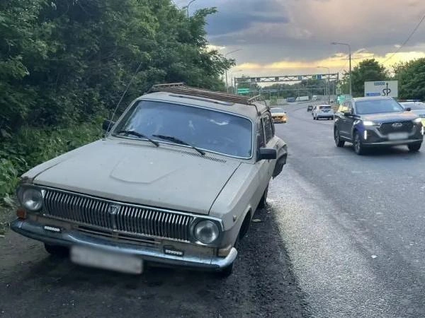Источник: ГУ МВД России по Рязанской области