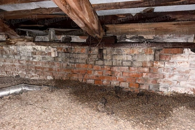 «Крик о помощи»: в Петербурге из-за оттепели текут потолки