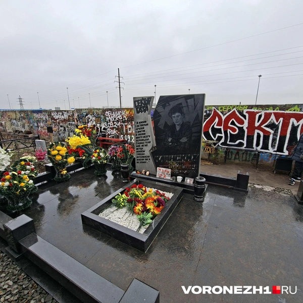 Источник: Алёна Воропаева / Voronezh1.ru