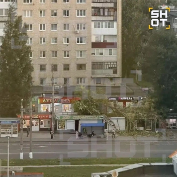 Дерево упало на крышу магазина | Источник: SHOT / T.me