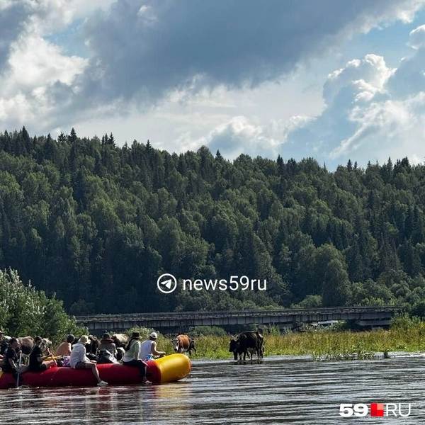 Компания плыла на катамаранах и рафтах&nbsp;— на этом фото берег сровнялся с водой | Источник: Наталья Пальникова / 59.RU